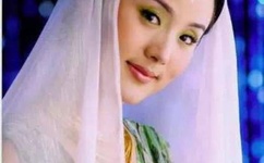 疯狂金龟车国语